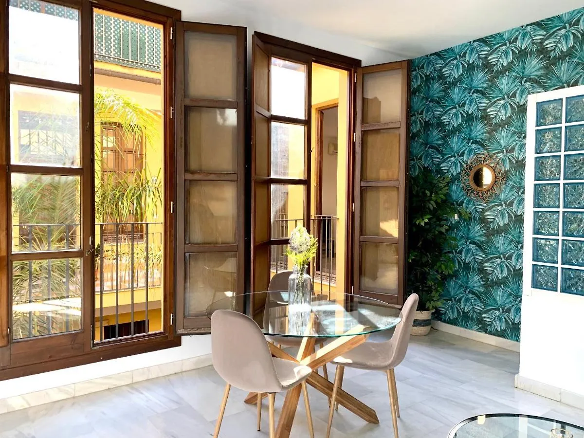 Apartment Homely Malaga Pozos Dulces 27 Centro Historico Spain