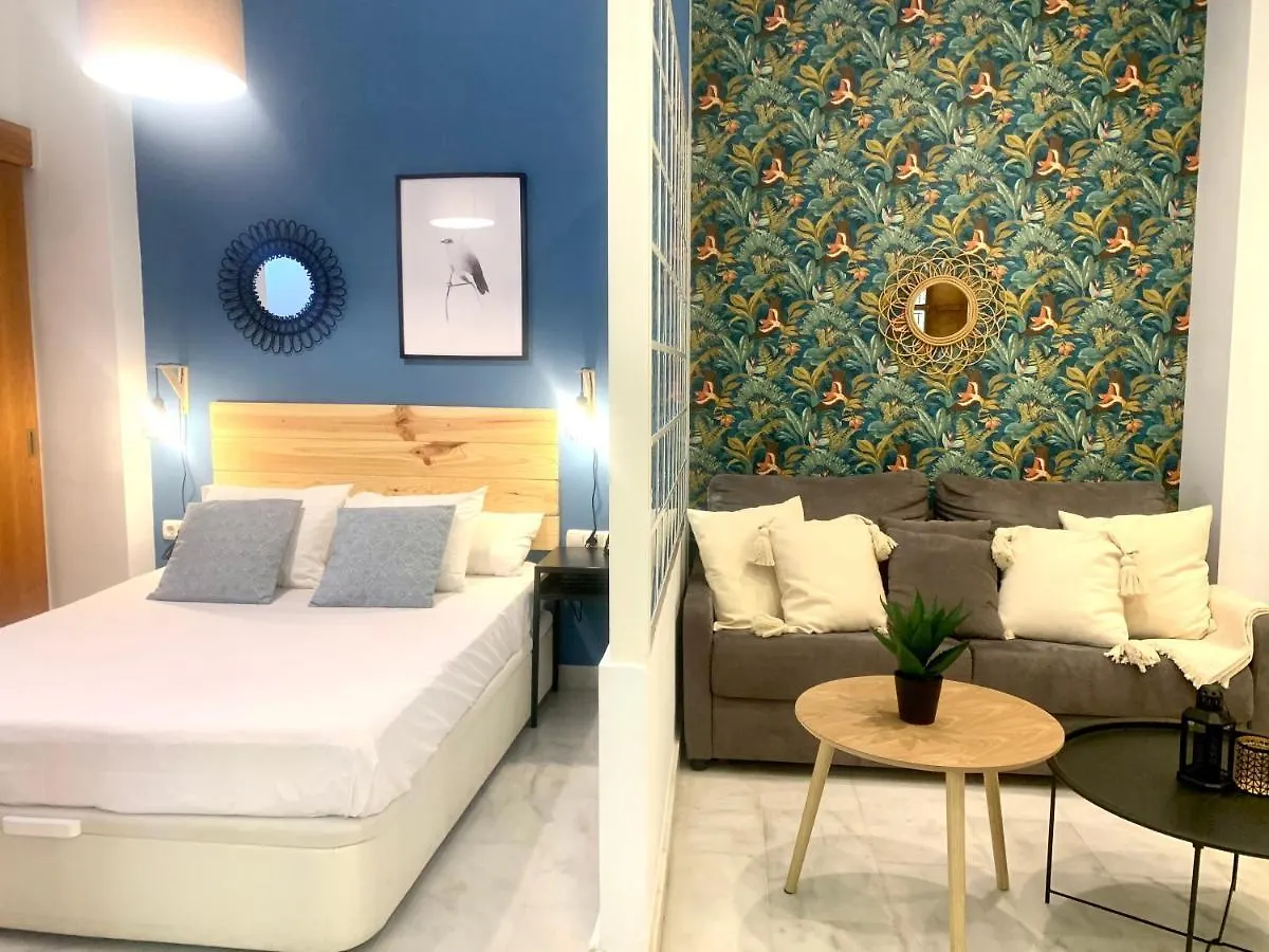 Apartment Homely Malaga Pozos Dulces 27 Centro Historico Spain