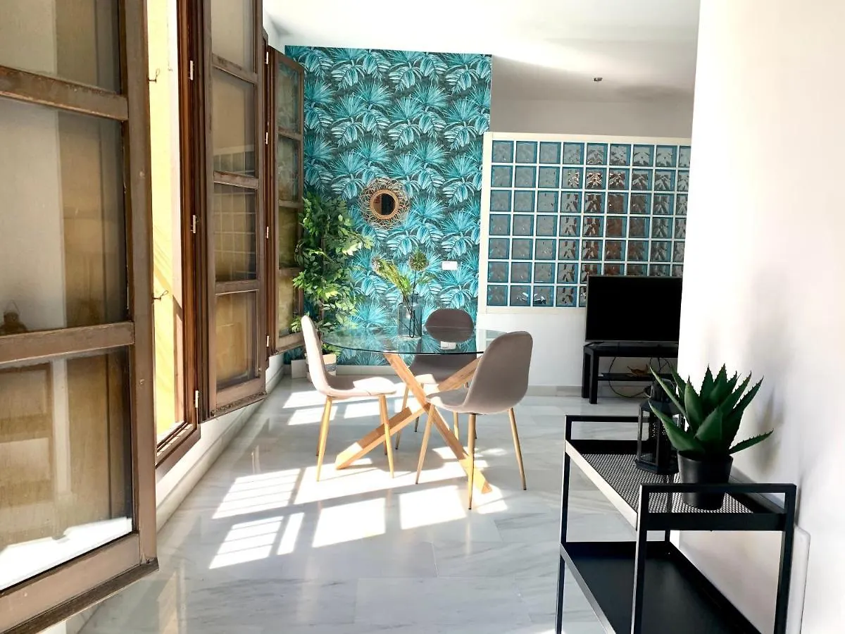 Apartment Homely Malaga Pozos Dulces 27 Centro Historico Spain